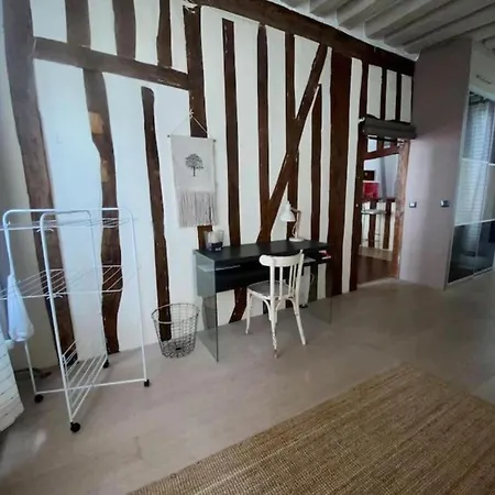 公寓 Vieux Palais 鲁昂